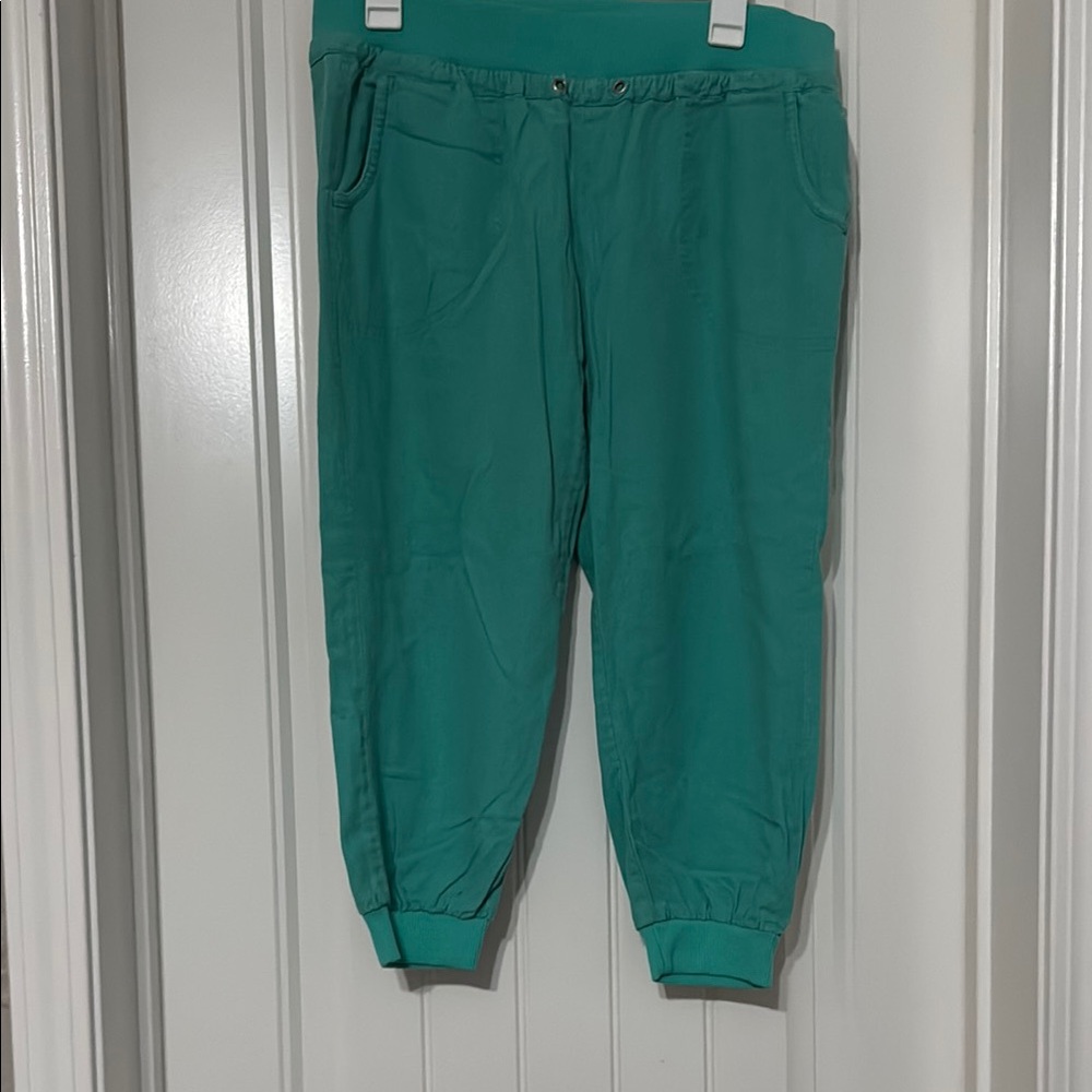 Forever 21 Teal Jogger Pants cropped